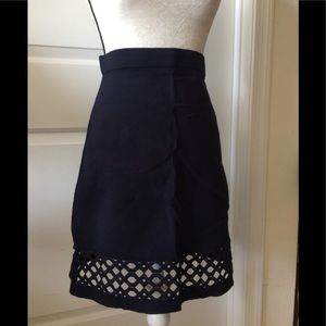 Ann Taylor beautiful skirt